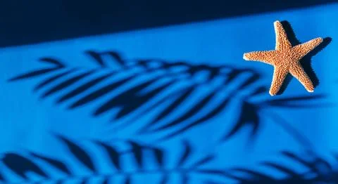Sun shade palm leaf on a blue background and starfish Stock Photos