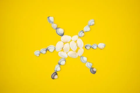 Sun shape made from seashells on yellow background Stock Photos