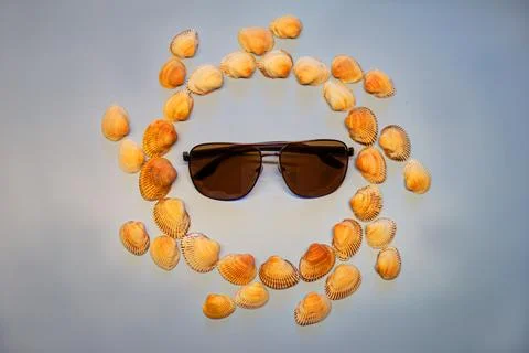 Sun of shells in sunglasses Stock Photos
