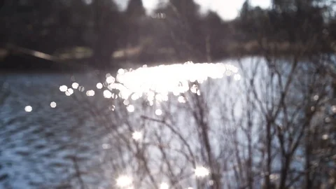 Sun shimmering over water's surface, slight out of focus bokeh Stock Footage 101214296