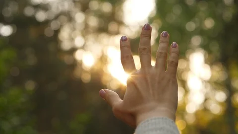 Sun shine and blink through woman hand Stock Footage 91069165