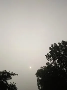 Sun shine Foto stock