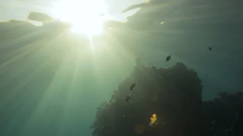 Sun shine on the ship wreck 動画素材 22694943