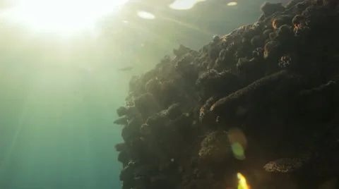 Sun shine on the ship wreck Stock Footage 22695038