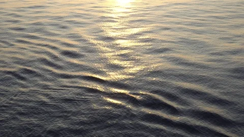 Sun shine on the surface of the evening sea Stock Footage 116442806