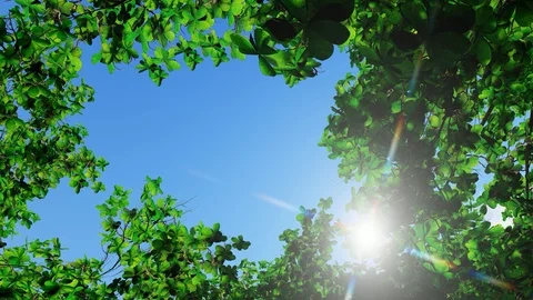 Sun shine through the blowing on wind tree green leaves, 3D Rendering Stock Footage 122250423