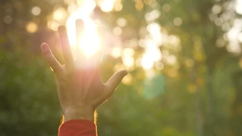 Sun shine through man fingers, close up Stock Footage 91207112