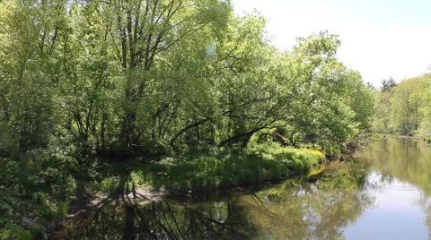 Sun shine on trees and river Stock Footage 6710009