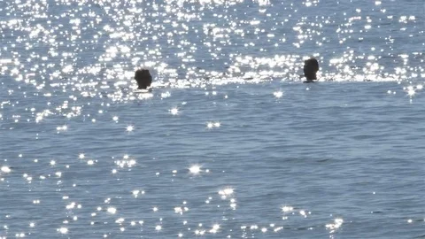 The sun shines on the beach. Stock-Footage 77902926