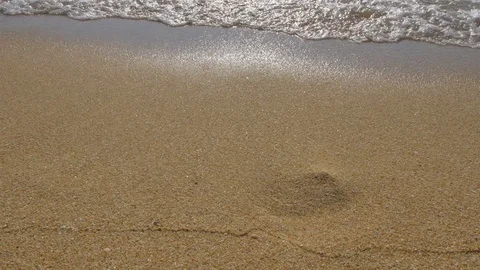 The sun shines on the beach. Stock Footage 77903088