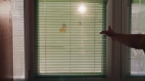 The sun that shines behind the blinds with highlights Stock Footage 104379356
