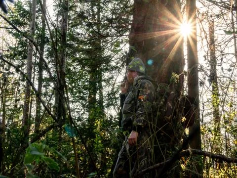 The sun shines between the trees, a hunter in camouflage with decoy stands be Stock Photos