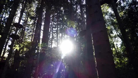 Sun shines bright between trees with climbing playground suspended from Stock Footage 138911271