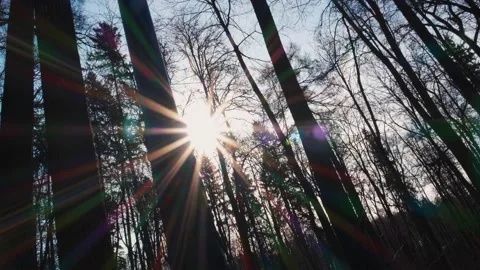 The sun shines brightly, casts glare, hides and appears behind an iron lamppost Video stock 190841824