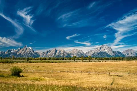 Sun shines on fields of yellow grass with the Grand Tetons in the distance. Stock Photos