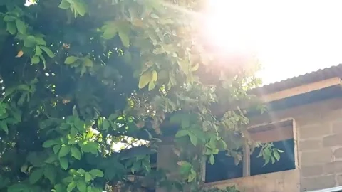 The sun shines Stock Footage 275971460