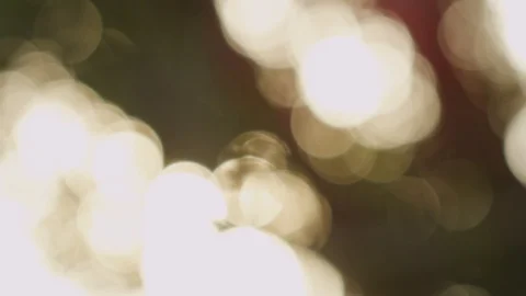 Sun shines through blowing on wind tree leaves. Out of focus video footage. Vídeos de archivo 91161163