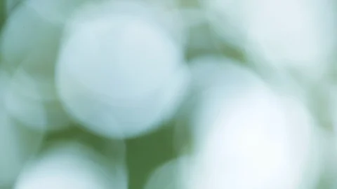 Sun shines through blowing on wind green leaves Video stock 97868537