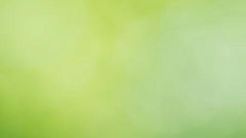 Sun shines through blowing on wind green leaves Stock Footage 97868737