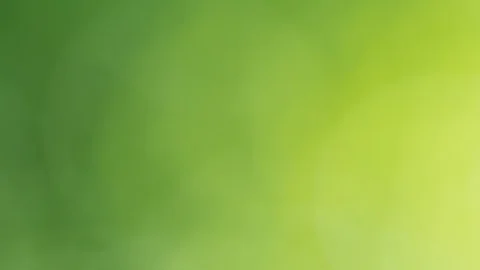 Sun shines through blowing on wind green leaves Stock Footage 97868809