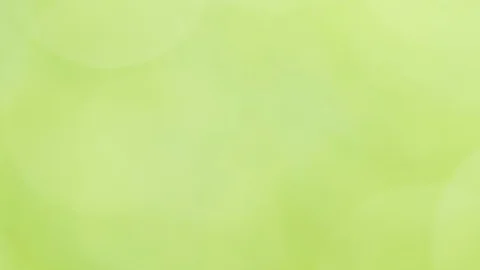 Sun shines through blowing on wind green leaves Stock Footage 97868873