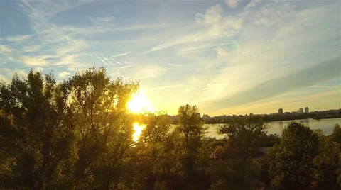 The sun shines through the branches of a  tree. The camera moves to the side 動画素材 55618415