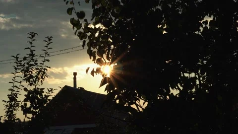Sun shines through the branches of trees in the village on summer day at sunset Stock Footage 169106638
