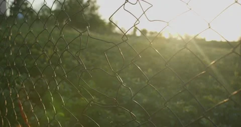 The sun shines through a close up of the long iron mesh fence Stock Footage 218864893