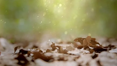 The sun shines through the dust moving over the beautiful natural backdrop. Stock Footage 121055307