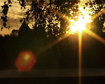 The sun shines through the leaves Stock Footage 2807739