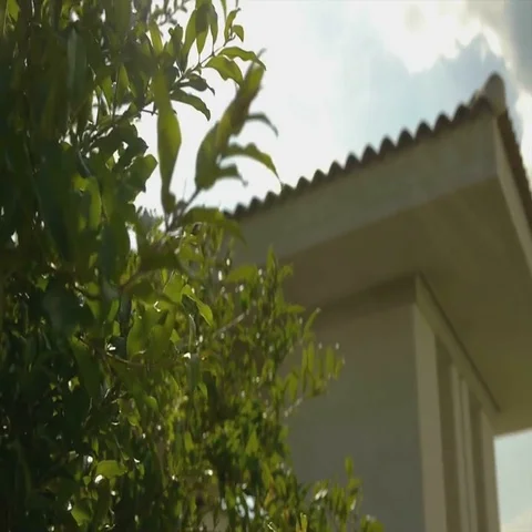 The sun shines through the leaves Stock Footage 69531387