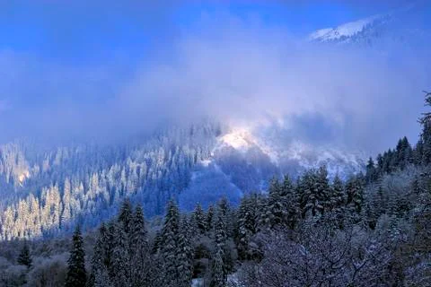Sun shines through the low clouds on a fir trees covered mountain sidehills Stock Photos