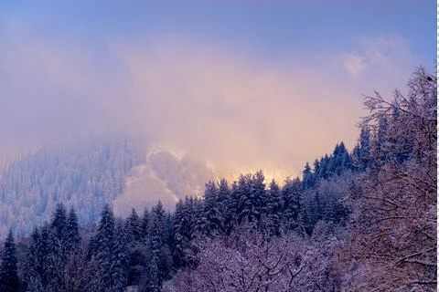 Sun shines through the low clouds on a fir trees covered mountain sidehills Stock Photos