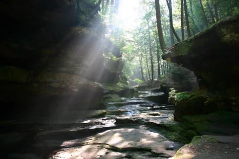Sun shines through Stock Photos