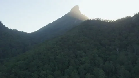 Sun shines through Sacred Summit in Wollumbin, Australia, QLD, Gondwana Stock Footage 236513764
