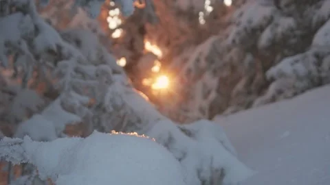 The sun shines through the snow-covered tree branches during sunset. 動画素材 169883604