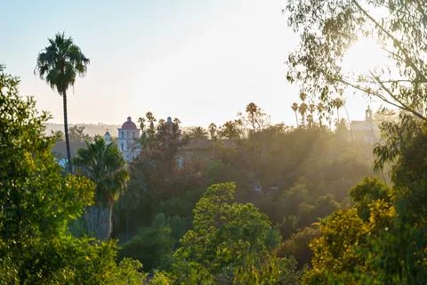 The sun shines through trees and buildings in the background Stock Photos
