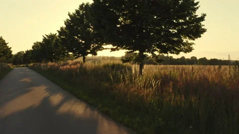 The sun shines through the trees beautiful slow camera flight with a drone past Stock Footage 163094866