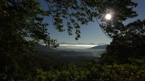 Sun shines through trees in the fall from blue ridge parkway road, asheville, Stock Footage 45521220