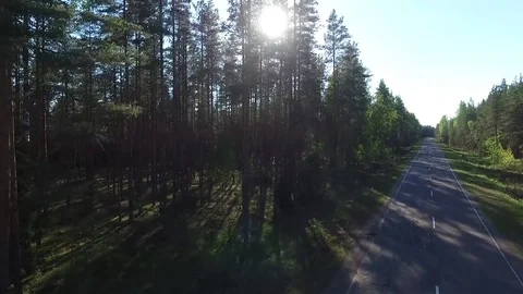 The sun shines through the trees Stock Footage 76719771