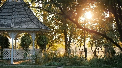 Sun shines through trees gazebo while walking Video stock 102676460