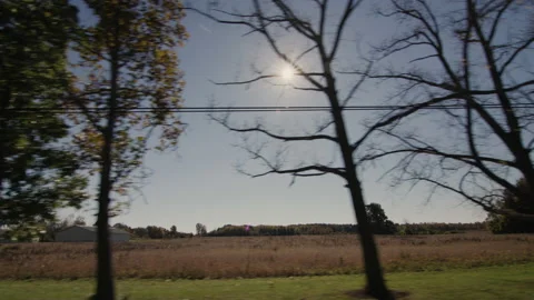 The sun shines through the trees, illuminating the fields along the road Stock Footage 165942498