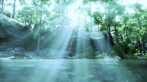 The sun shines through the trees over a body of water Ilustração Stock