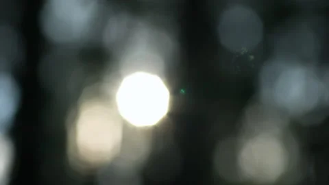 The sun shines through the trees. Shooting in the sun with out-of-focus Stock Footage 195022261