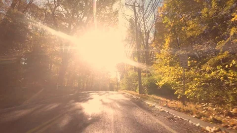 The sun Shines through trees on twisting New England roads during Fall Season 스톡 동영상 122822200