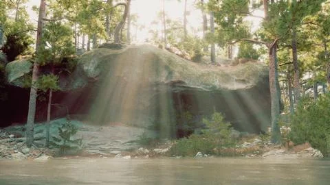 The sun shines through the trees into the water Stock Illustration