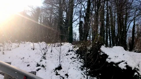 The sun shines through the trees winter snow forest Stock Footage 121968110