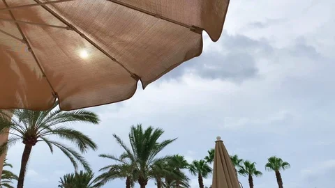 The sun shines through the umbrella to the sunbed lying on the beach Stock Footage 115256157