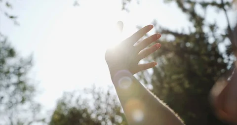 Sun shines through woman's hand while she holds it among green leaves in the Stock Footage 95635573