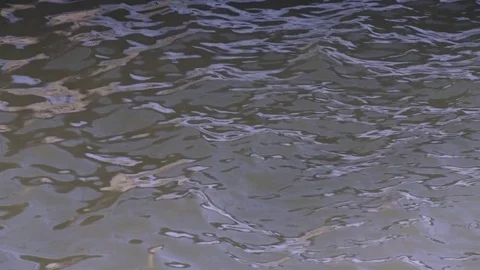 Sun shines on water 2 Video stock 84266195